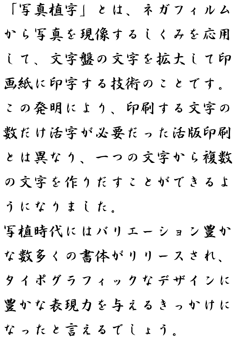 有行書 横組見本